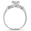 The Sanders Ring, smallside view