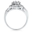 The Shirley Ring, smallside view