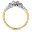 The d'Orsay Ring, smallside view