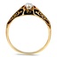 The Aideen Ring, smallside view