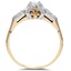 The Yapany Ring, smallside view