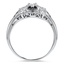 The Shivley Ring, smallside view