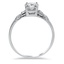 The Carleton Ring, smallside view