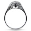 The Quinn Ring, smallside view