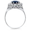 The Sage Ring, smallside view