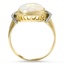 The Salley Ring, smallside view