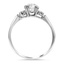 The Nieks Ring, smallside view