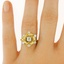 The American Beauty Ring, smalltop view on a hand