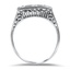 The Dianna Ring, smallside view