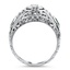 The Fern Ring, smallside view