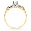 The Oakley Ring, smallside view