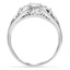 The Jillayne Ring, smallside view