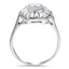 The Terrwyn Ring, smallside view