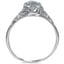 The Juillet Ring, smallside view