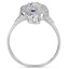 The Ari Ring, smallside view