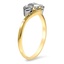 The Dalmata Ring, smalltop view on a hand