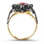 The Romana Ring, smallside view