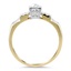 The Pierce Ring, smallside view