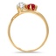 The Charlotta Ring, smallside view