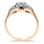 The Calix Ring, smallside view