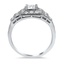 The Rani Ring, smallside view