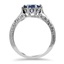 The Birchwood Ring, smallside view