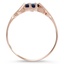 The Thierry Ring, smallside view