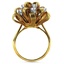 The Brielle Ring, smallside view