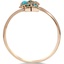 The Desi Ring, smallside view