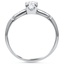 The Ginerva Ring, smallside view