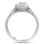 The Axel Ring, smallside view