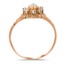 The Joaquin Ring, smallside view