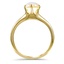 The Joyner Ring, smallside view