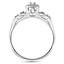 The Carlisle Ring, smallside view