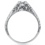 The Chastaine Ring, smallside view