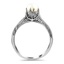 The Bahia Ring, smallside view