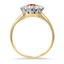The Basalt Ring, smallside view