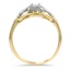 The Guisy Ring, smallside view