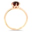 The Lille Ring, smallside view
