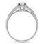 The Jessie Ring, smallside view