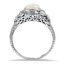 The Contessa Ring, smallside view