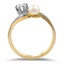 The Kassie Ring, smallside view