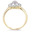 The Hadleigh Ring, smallside view