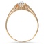 The Beverie Ring, smallside view