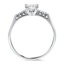 The Shaun Ring, smallside view