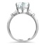 The Cherryhill Ring, smallside view