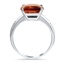 The Montreux Ring, smallside view
