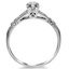 The Urbana Ring, smallside view