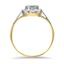 The Norina Ring, smallside view