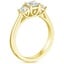 18K Yellow Gold Petite Three Stone Trellis Diamond Ring (1/3 ct. tw.), smallside view